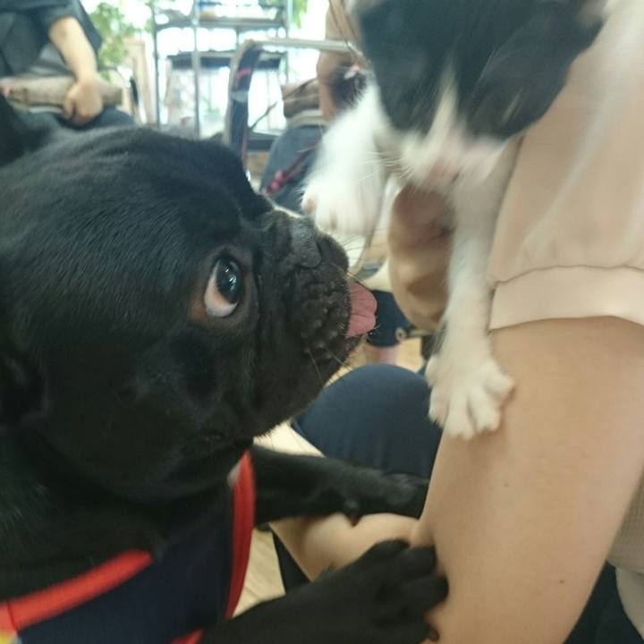 4a5a2ba6 c3c3 46fa acff fc7678f03cd8