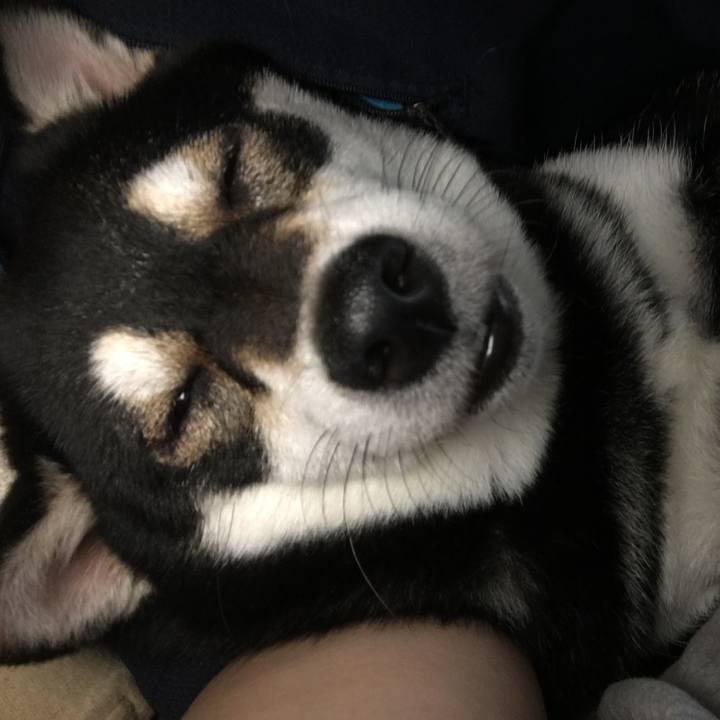 4a5ab973 77d8 4937 82f0 1639226c286e