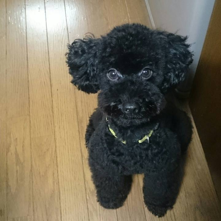 4a5b2620 e000 4623 ba3e b264fe8fbe56