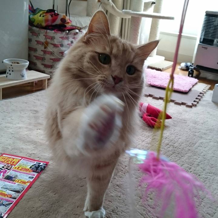 4a5b7ef9 698b 4ffa a506 9c927e8fde0e