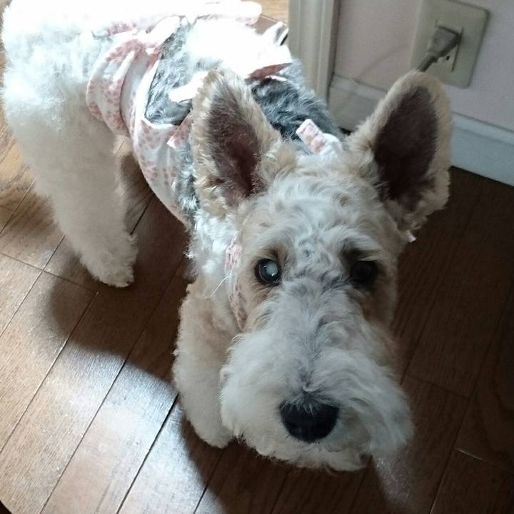 4a5bd0a1 6344 4b07 a0c8 141c4d8f1b99