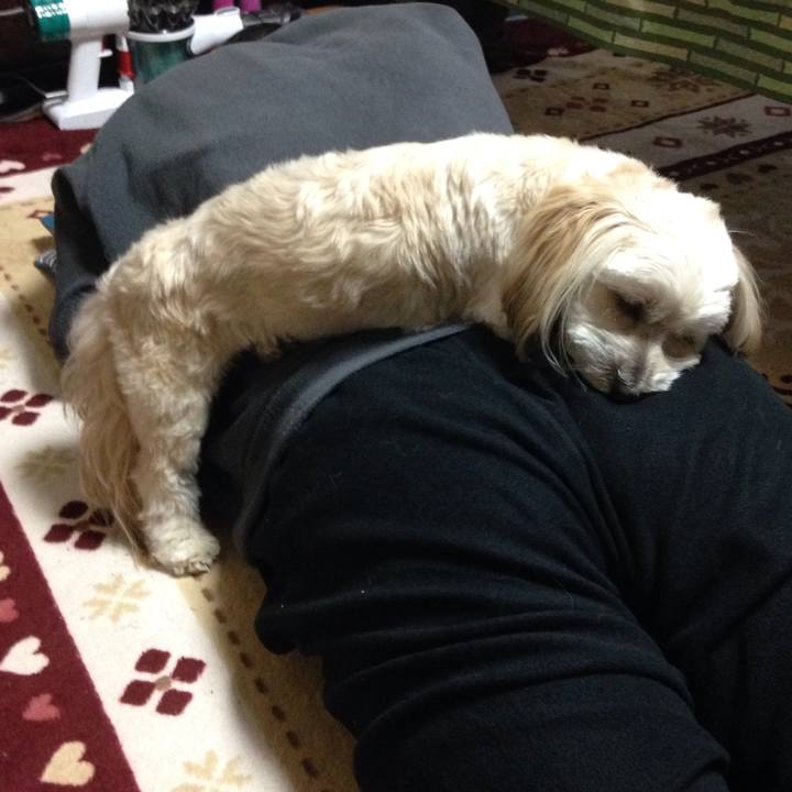 4a5c4b96 3d76 4640 b9e6 7d3dbdb9f64d