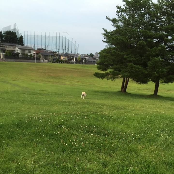 4a5c6b03 0e16 439f 9624 9454c66c11a9