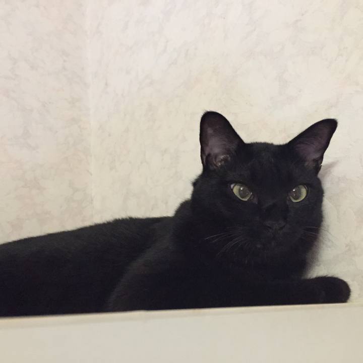 4a5c9994 df18 4b46 a5a7 14e90b4b0060