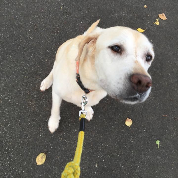 4a5cae91 2e5e 41a2 8d2e 07d12e7c4224