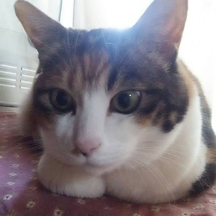 4a5d0fbf 5c86 4a93 9368 07f8081fe746