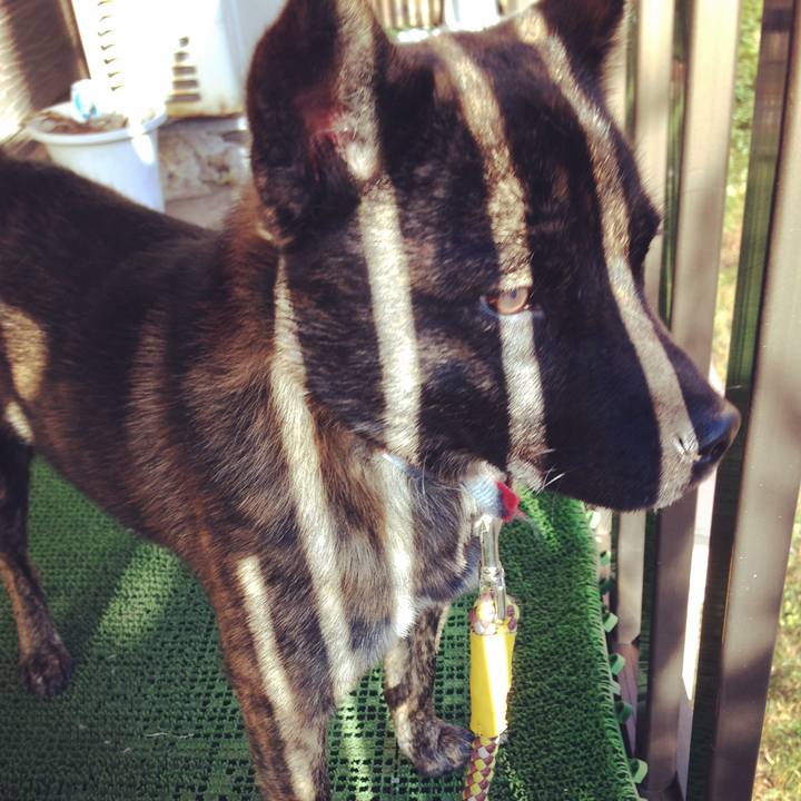 4a5d7dff 3860 4ca9 85fd 4512469c8f1a