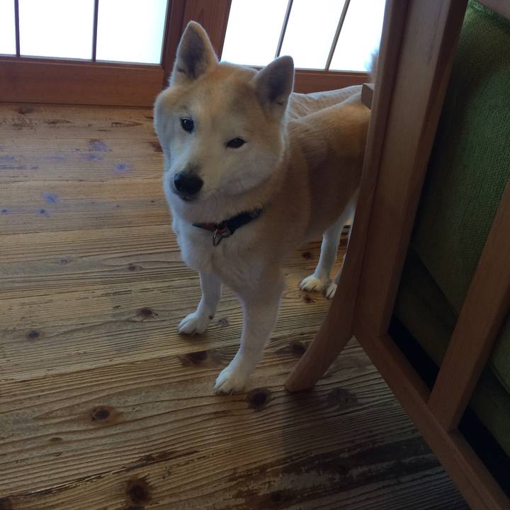 4a5e4f68 cffa 4c16 b95b 691b586aa1ab