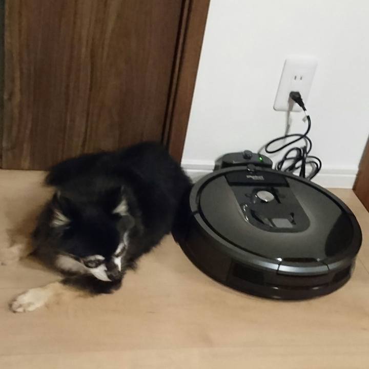 4a5ebfd4 dccf 48e4 9db0 f96cbe824331