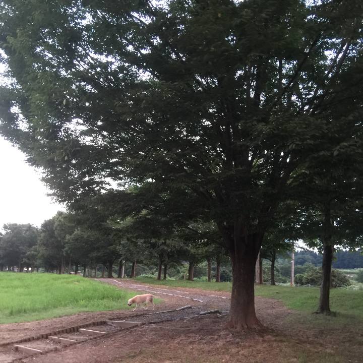 4a5f71f7 dbb5 4b6a 9dce 176c47a17c3c