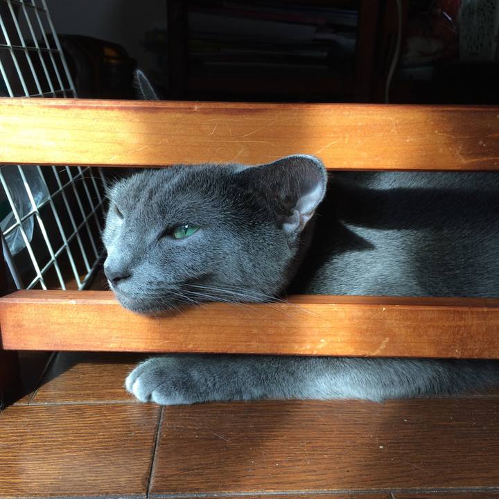 4a6029d4 fe3d 4f0a ae86 328b5713d21c