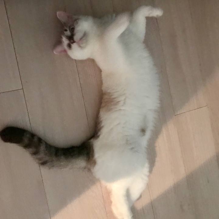 4a60f901 6216 4c34 91fc a1dd03fe5fea