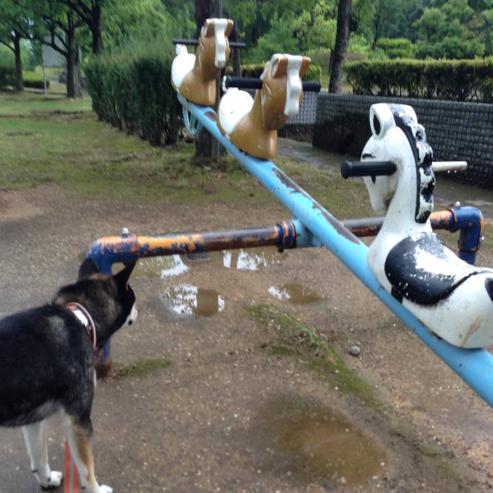 4a616794 03c4 4c0c 88b5 b4510ab14394