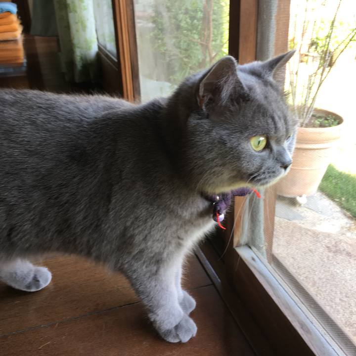 4a625e0a affe 4d14 bfa9 98bcbb9af50e