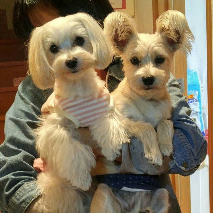 4a63a4bf 97cb 4913 82fb 9e7b7a15b579