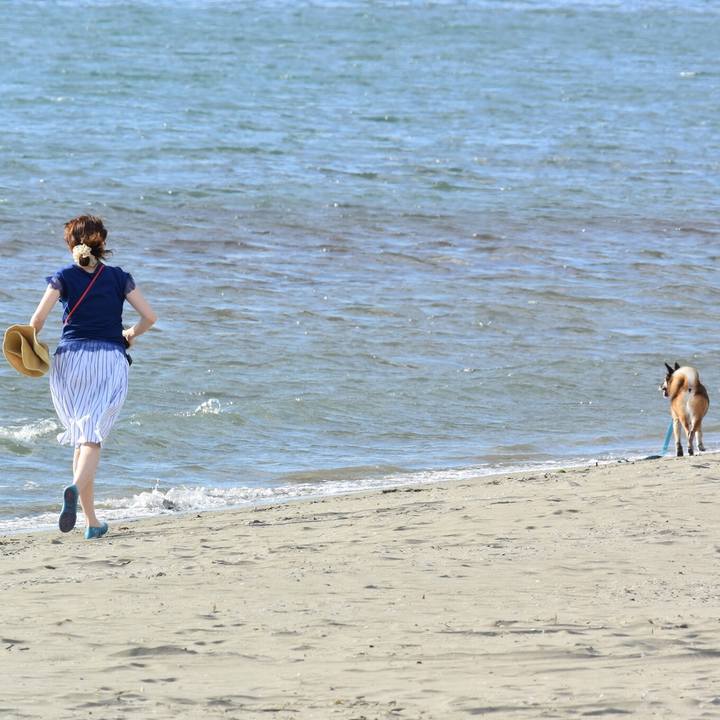 4a64280d c810 4663 ba0a 6304ef9e40d9