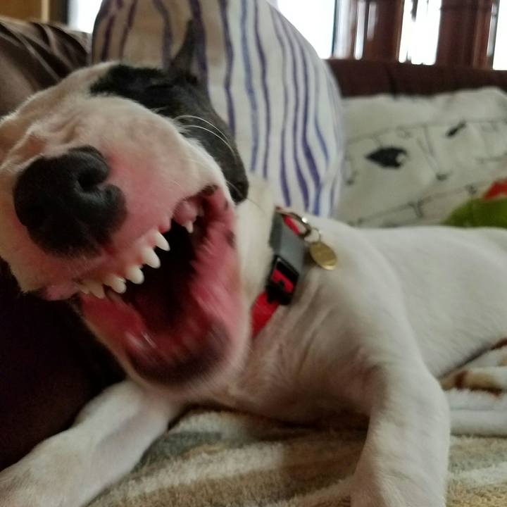 4a64525b 5b80 4ee1 9003 9307b44e8cb0