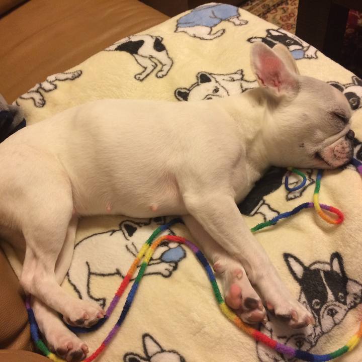 4a64ce41 6bbf 47aa a647 d6aeb2444722