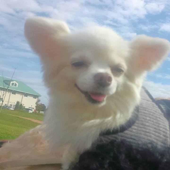 4a64d611 7567 4521 8900 c485130180c1