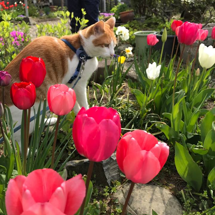 4a654d23 0dbf 48c3 892d 6d6b4763ea97