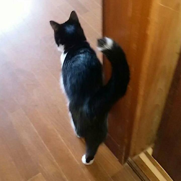 4a65792d 92ce 4c32 be2b c654765117ff