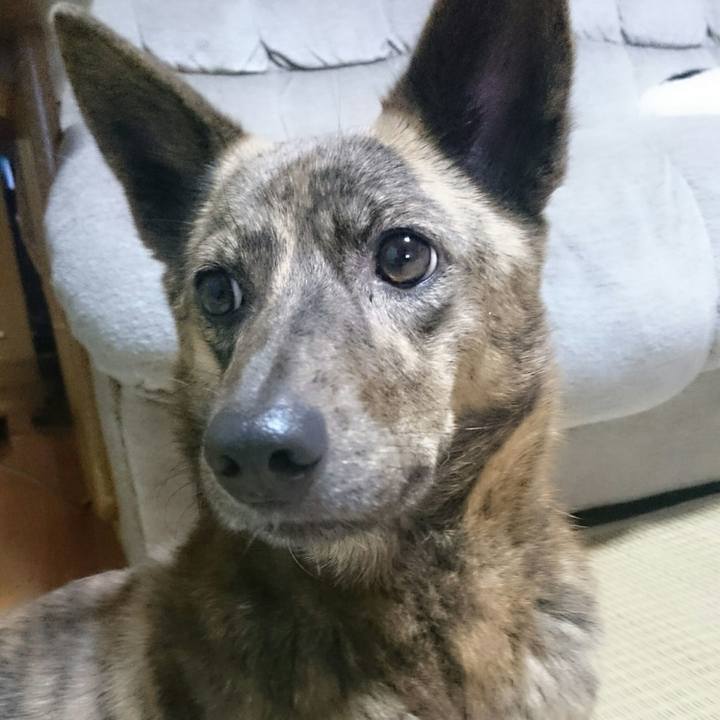 4a65e581 bbb9 4ec4 b44f 1f55b601206b