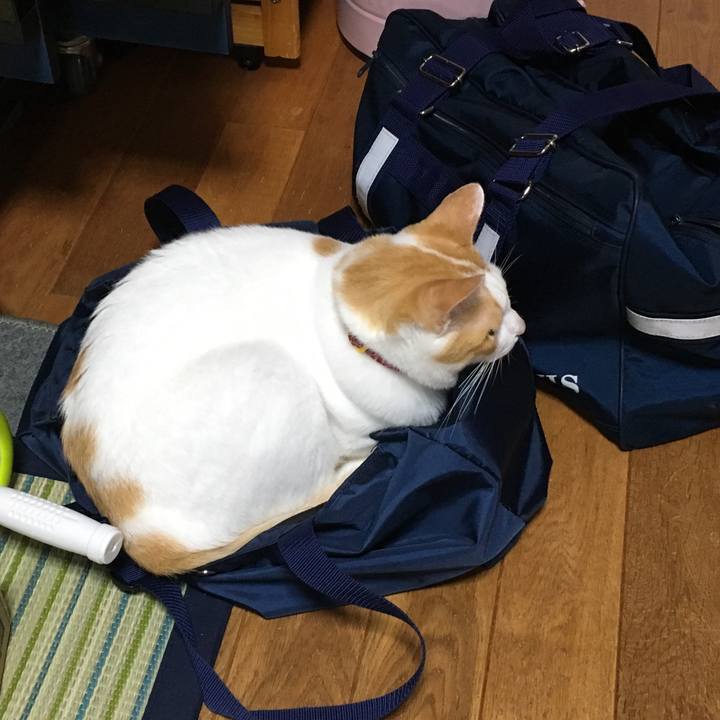 4a66eedf b3e5 4d6c 94aa 9b743e303fdc