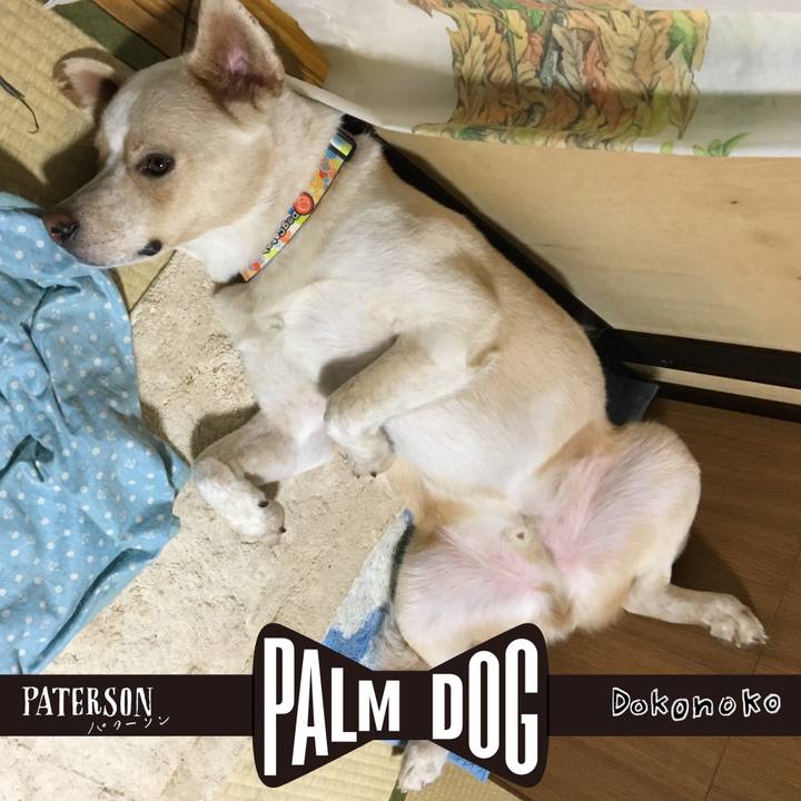 4a6767b5 652f 4a0f 98d8 bcc9f93780c6