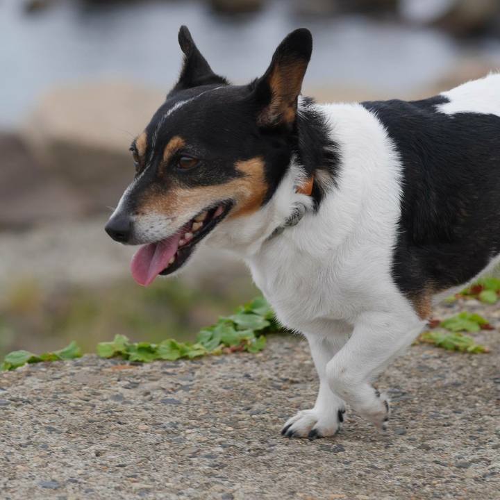 4a677b20 63ea 4736 bdc4 6a794d818011