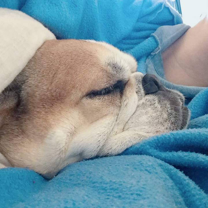 4a684c5f 67b8 4cdd 8e50 bdc22699ba8c