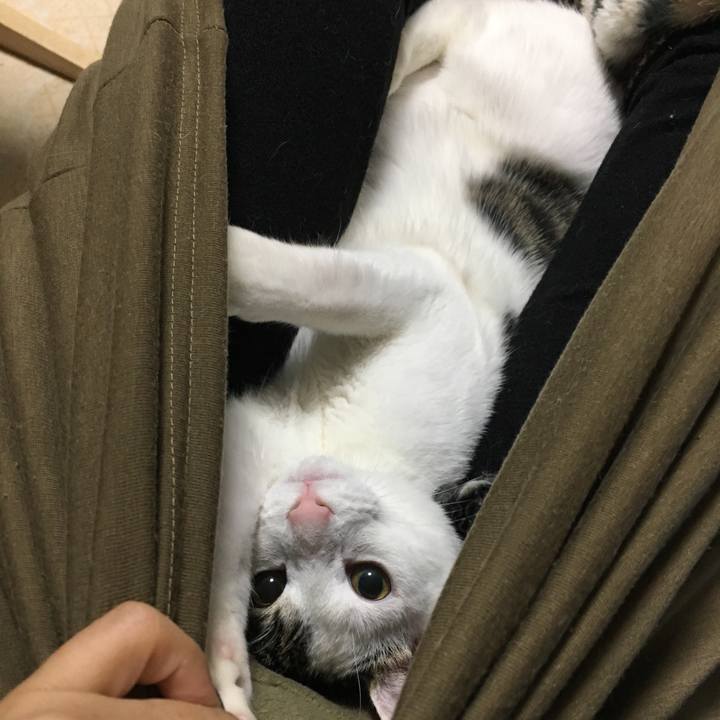 4a6898a5 3404 45fe 9254 3bef40ec583a