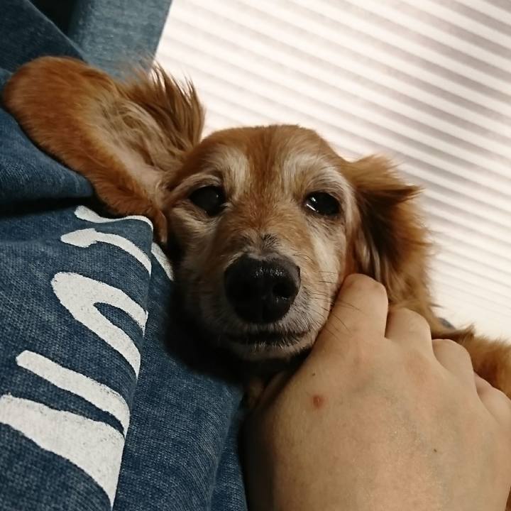 4a68efcd b4ec 411d 8944 102bf6829b2a