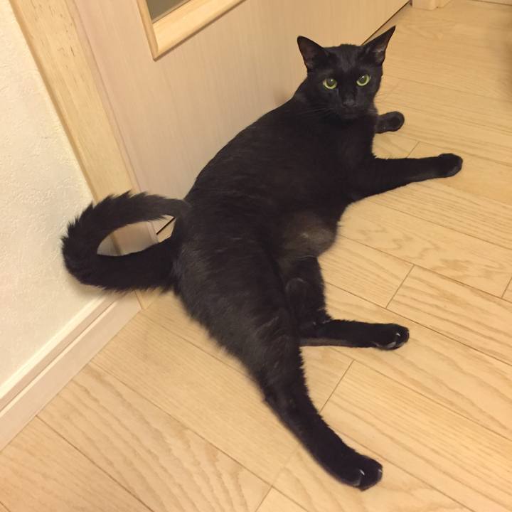 4a6982ac a41c 471e bc4f 5d258a4b9b5b