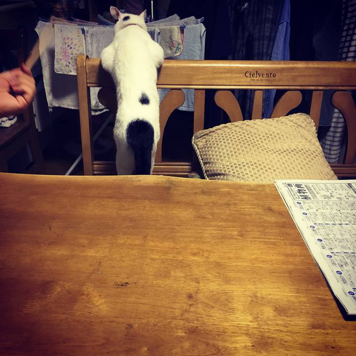 4a69b049 920c 4e7f b771 472d7f6d71d0