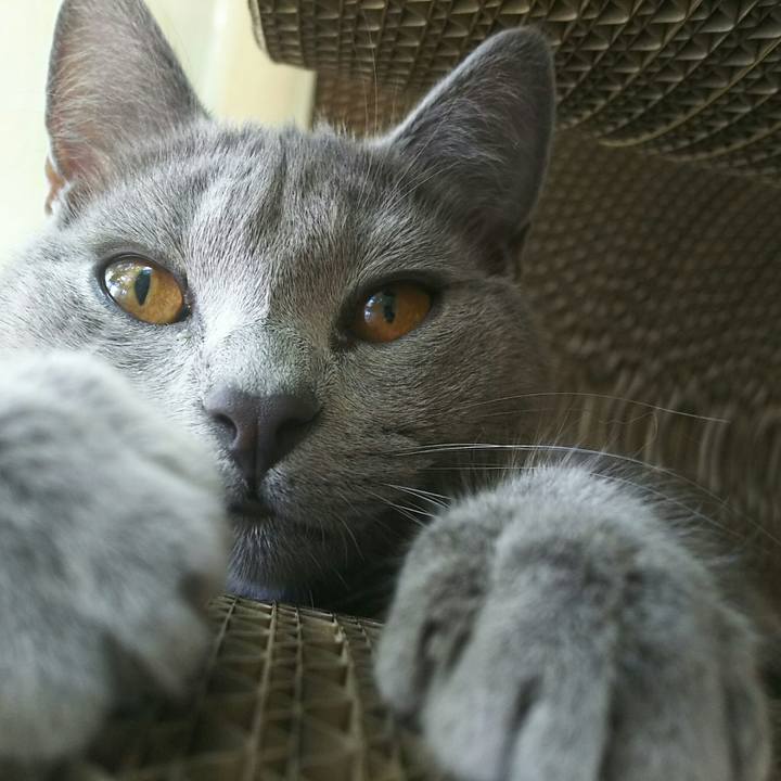 4a69ba1e 6183 4ff0 8ae3 234cf4315de7