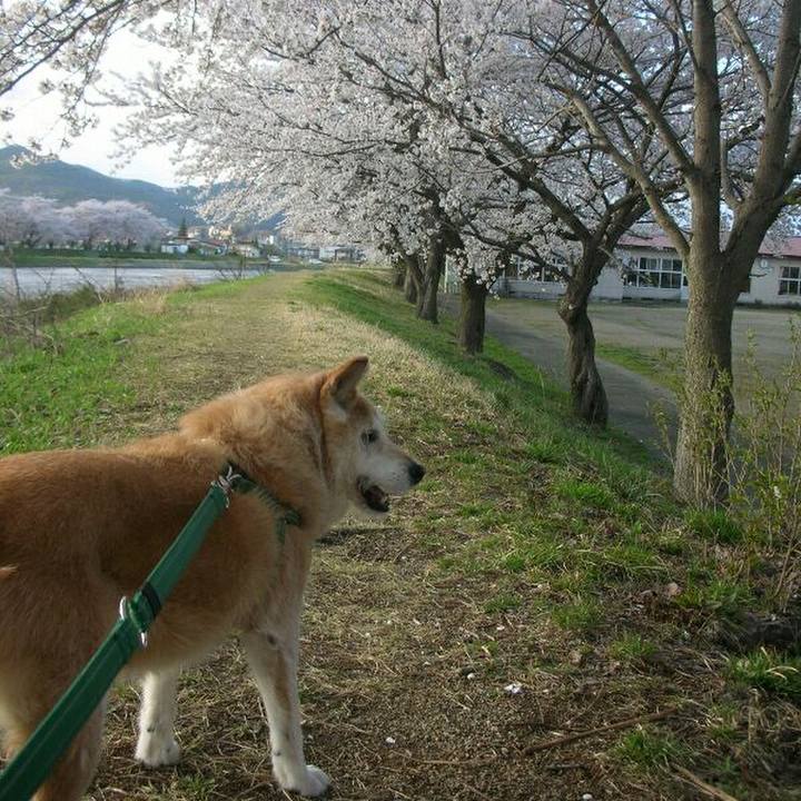 4a69f8e1 2f69 47d1 8b77 446ff49c0858