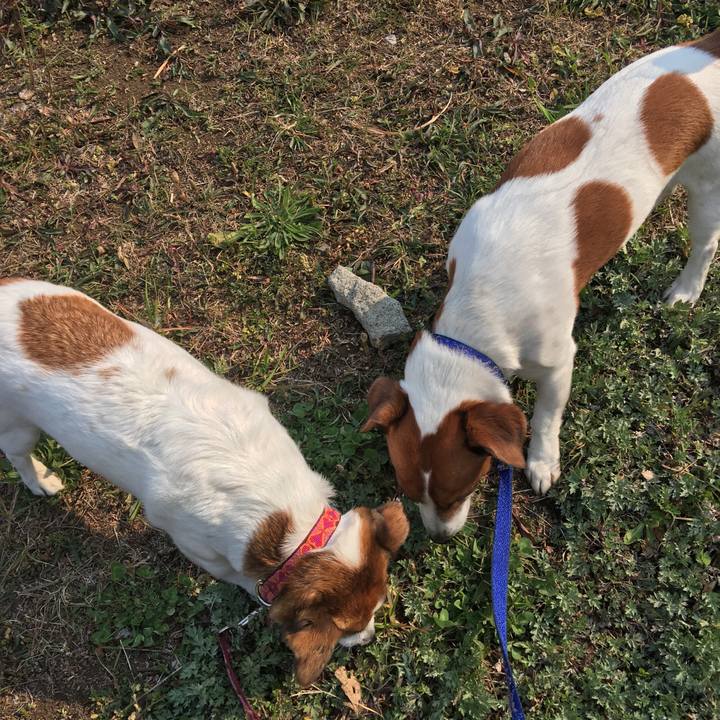 4a6a079e be3e 4fdc a683 da3eb9221e9a