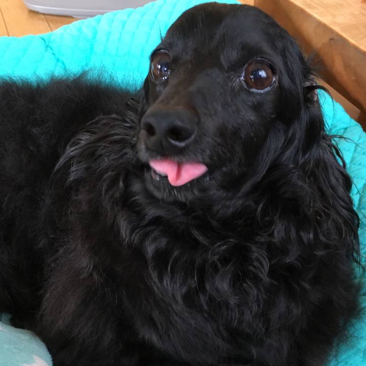 4a6a388a d2d1 43cb 8673 ced70d9b7593