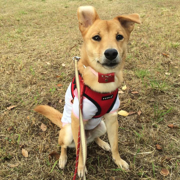 4a6b9488 e126 47a2 8440 bda0c0204c0f