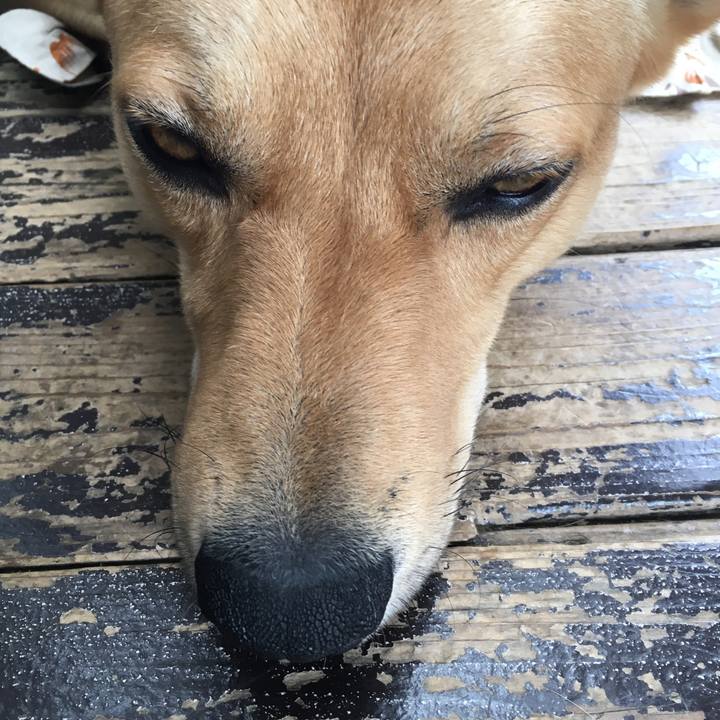 4a6c3a6d feb9 4e24 ac72 be653a79fae7