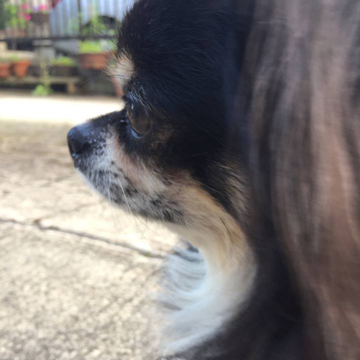 4a6cb748 5f45 4044 bb21 9fe15c8dac2e