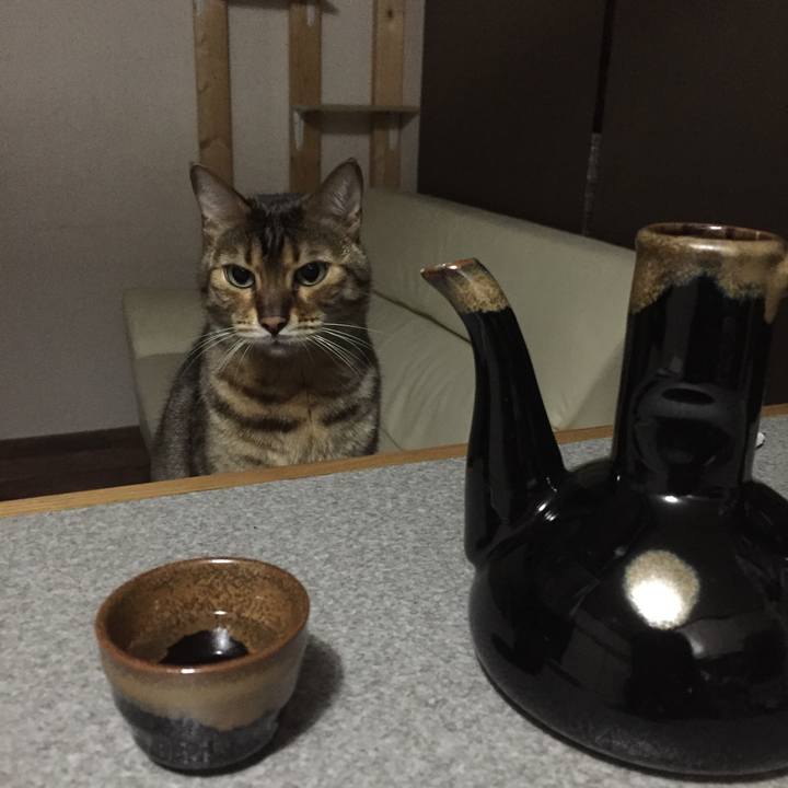 4a6cc176 9edc 4bc8 8c50 2f8e35c90408