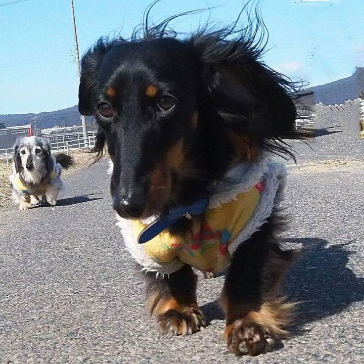 4a6d2c17 b188 4261 8db6 459912a733bf