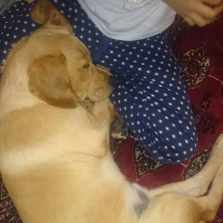 4a6d2e98 165d 4d0e aa98 76108311ad6f