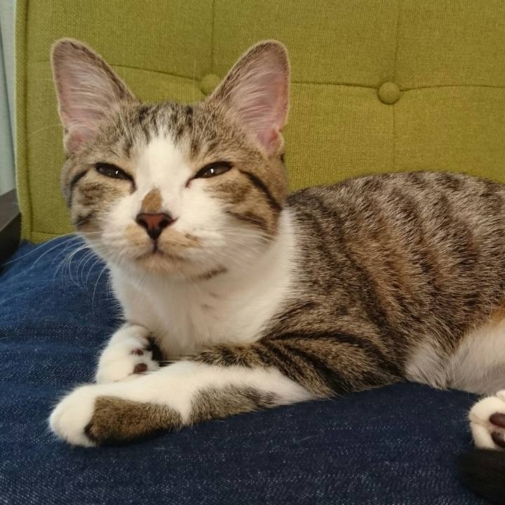 4a6d4978 d86b 42da 86f0 d783eeed5f51