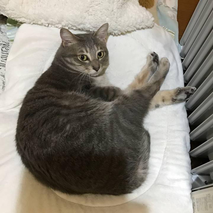 4a6ee6ce 648c 408c b5ce 908ef9b70cef