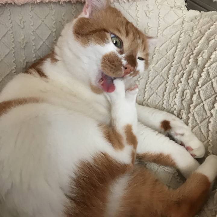 4a6f33c2 c188 4dd4 b193 7e7b7b198b7f