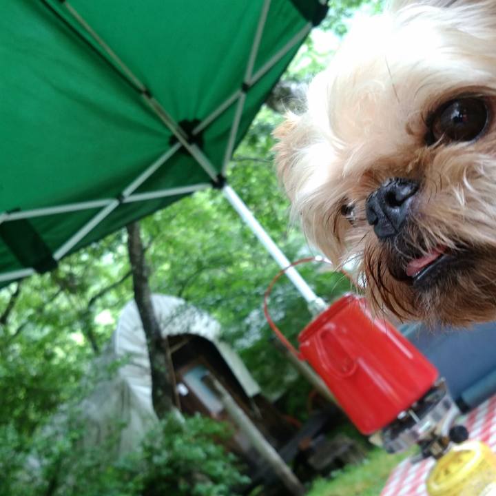 4a708a04 633a 4ff7 b1c4 ae3a11dcffb0