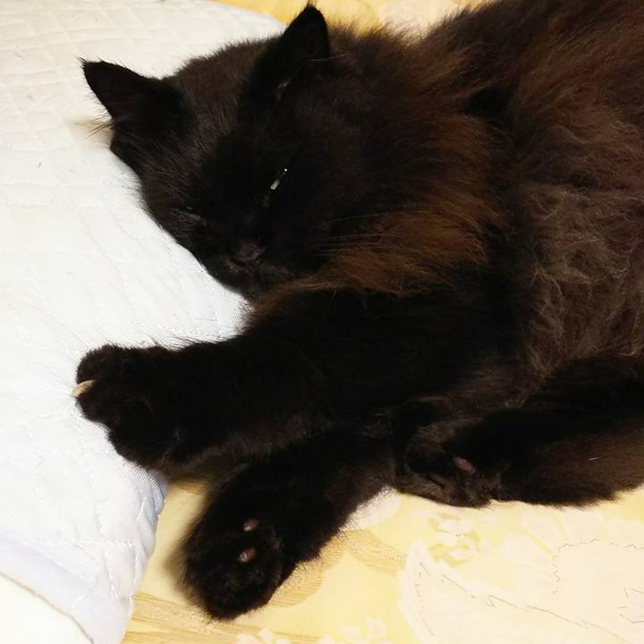 4a712794 1de5 49d4 9ead 02ea8b61fefc