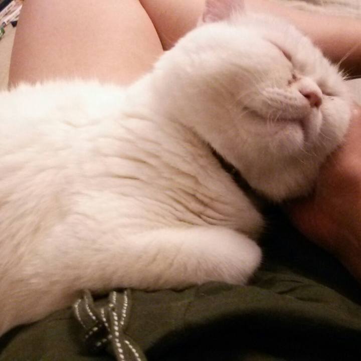 4a718999 1f2d 45d8 81bf ae225e3b364e